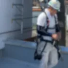 鳶