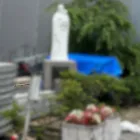 正社員